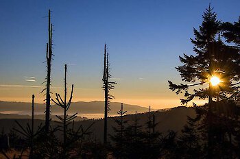 Kurzurlaub im Bayerischen Wald